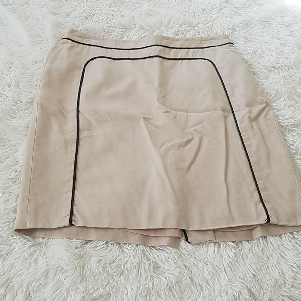Ann Taylor Skirt